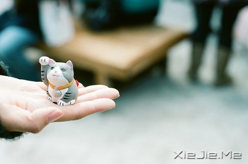 晚安心语:清澈不在远方,而在心底 (9)