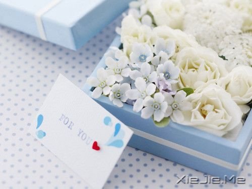 �������������������Լ� (2)