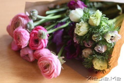 �������������������Լ� (3)