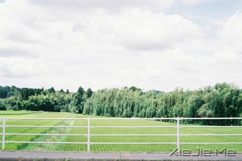 �簲����:�Լ���Ц�ݲ��������ķ羰 (6)