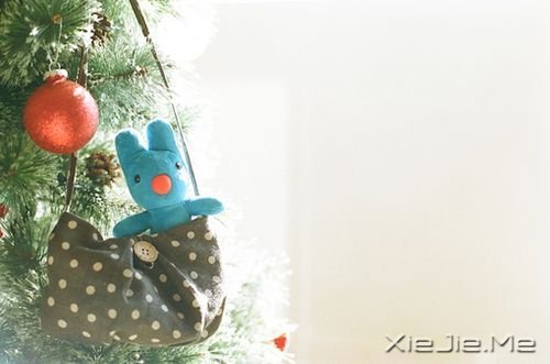 �簲�������ֻ�о�����ƽ���������Ե�����������ʵ (4)