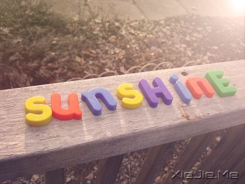 晚安心语:选择一条正确的路,坚定的走下去 (5)