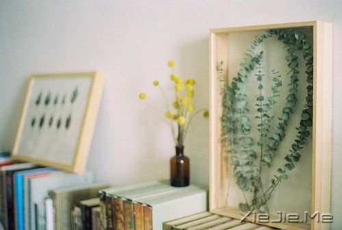 �簲�����������ܻ��ͷ (7)