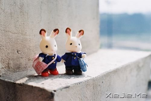 �������������һ���ӣ���ȴ������һ���� (7)