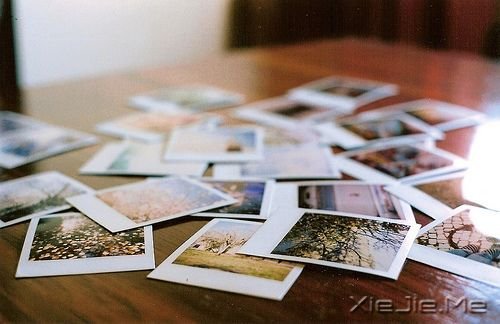 ��������Щ������ �����ĵĸ�� (9)