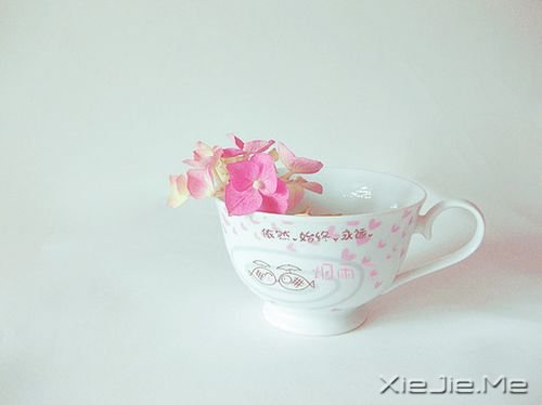 找回那个真正的自己 (3) 小清新图片 (3)