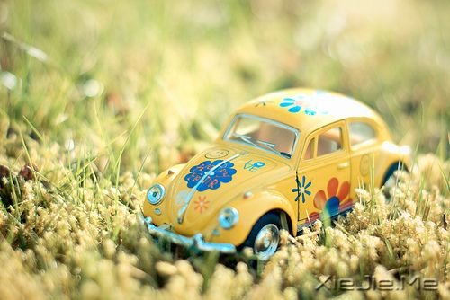 你存在,整个世界才存在 (1) 小清新图片 (1)