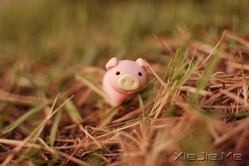 �����������Ҫ�ڰ����У����Ų�æ�ؼ�ǿ (10)