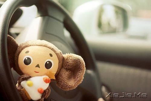 �����������ǰ;�������գ���Ҫ΢Ц��վ�� (9)