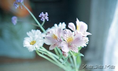 ���������������Ǿ������Ҹ�������·�� (2)