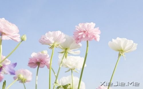 �簲�����ҪΪ���κ����κ�����ĥ�Լ� (4)