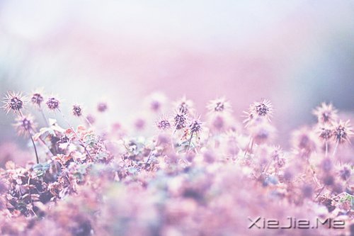 �������粻�ã����������̫��