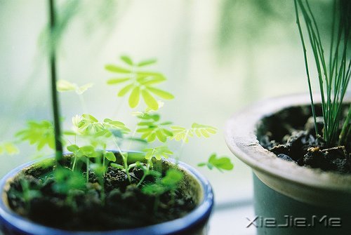 文字:你得知道自己究竟要什么