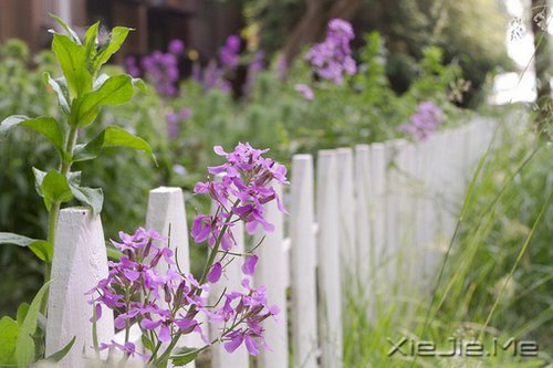 经典语录:一个人的天荒地老 (3)
