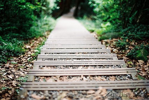 经典语录:一个人的天荒地老 (4)