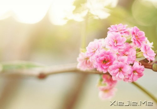 ��������һλ���˵ľž仰 (9)