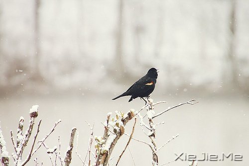 文字:成长的味道 (5)