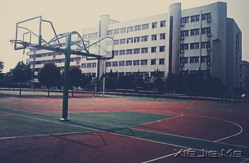 青春校园故事:我的大学