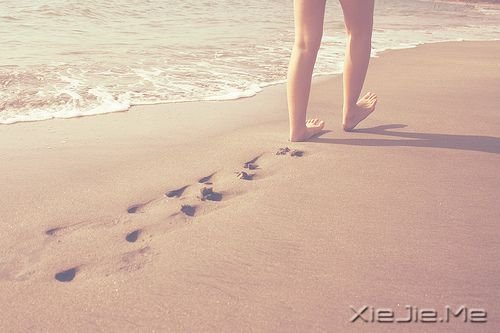 ��������룬лл���߹��ҵ�����