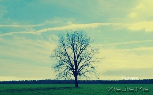 我们都知道努力可以进步,但为什么还是不努力呢?