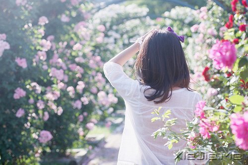 文字:席慕容文字选 (6)