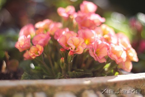 经典语录:只要适合自己,就是幸福 (2)