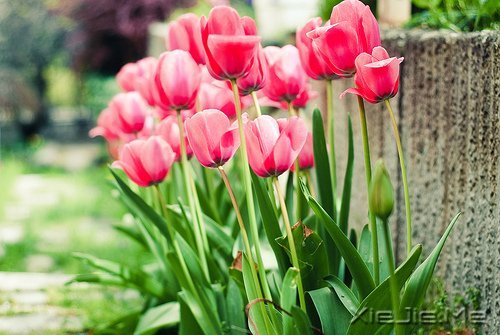 经典语录:只要适合自己,就是幸福 (5)