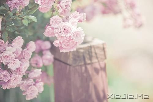 用一个月时间改变自己 (4)