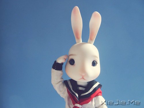 �Һ�������粻�� (1)