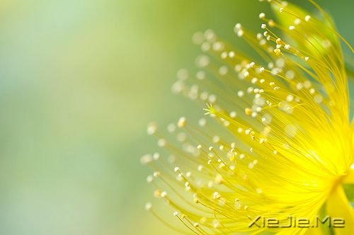 30������֮������֮�� (3)