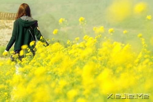 唯美女生图片 (1)