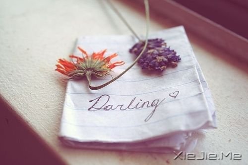 ����ϵͼƬ (2)