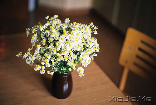 不靠谱和很安定 (1)